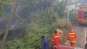 kebakaran-di-Gresik-saat-kemarau.jpg