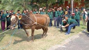 pelatihan-juru-sembelih-kurban-Kota-Kediri.jpg
