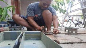 perajin-sate-kurban-di-Lumajang.jpg