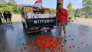 protes-petani-tomat-Madiun.jpg