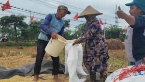 pupuk-subsidi-Trenggalek-naik-1.jpg