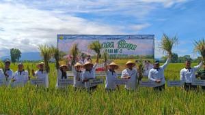 serapan-Bulog-Ponorogo-1.jpg