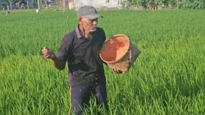 serapan-pupuk-di-Trenggalek-6.jpg