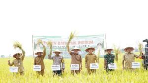 tadah-hujan-di-Desa-Sidomukti-Kecamatan-KembangbahuSenin-27102025.jpg
