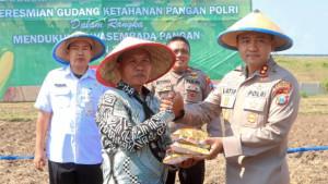 taman-jagung-di-Probolinggo-8.jpg