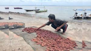 terasi-kenjeran-surabaya-Udang-dicampur-garam-tanpa-pengawet-lalu-diuleni-dan-dijemur.jpg