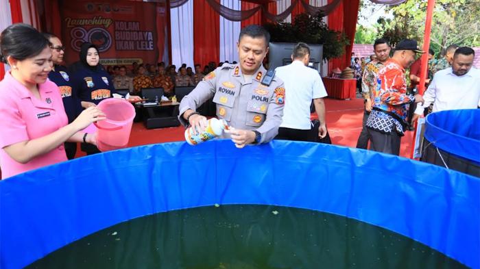 80 Kolam Lele Diresmikan di Gresik : Gerakkan Ekonomi Desa Lewat Budidaya Ikan