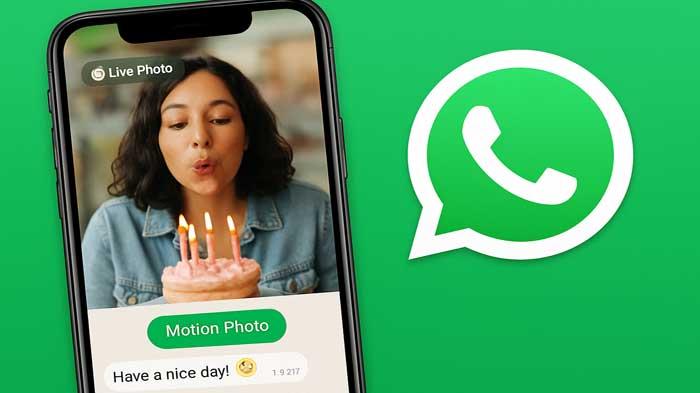 5-Fitur-Baru-WhatsApp-2025-yang-Jarang-Orang-Tahu-Bisa-Bikin-Gambar-Bergerak-hingga-Scan-Dokumen.jpg