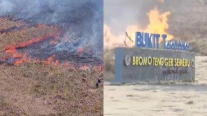 5 Fakta Baru Kebakaran di Kawasan Wisata Bromo, Manajer WO Jadi Tersangka, 5 Orang Berstatus Saksi