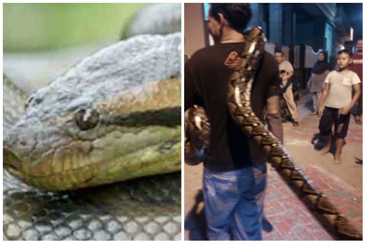 Yigit avtobusda silkinib ketdi (porno video) Sport zalida jinsiy aloqada bolgan ikki gey erkakning jinsiy aloqa videosi