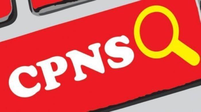 9-kesalahan-yang-harus-dihindari-saat-mendaftar-cpns-2019-segera-cek-nik-dan-nomor-ijazah.jpg