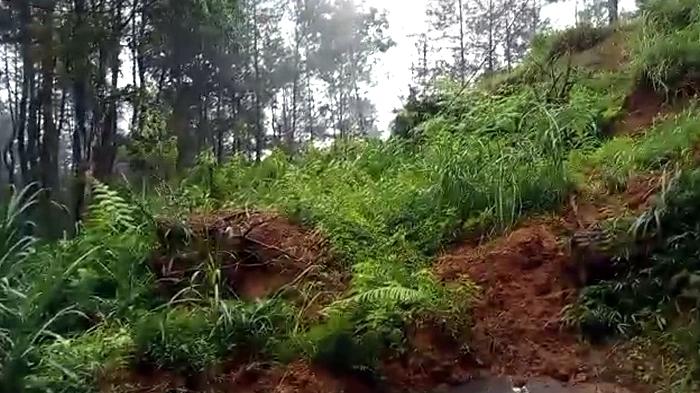 Akses-Trenggalek-Tulungagung-Lumpuh-Total-Akibat-Longsor.jpg