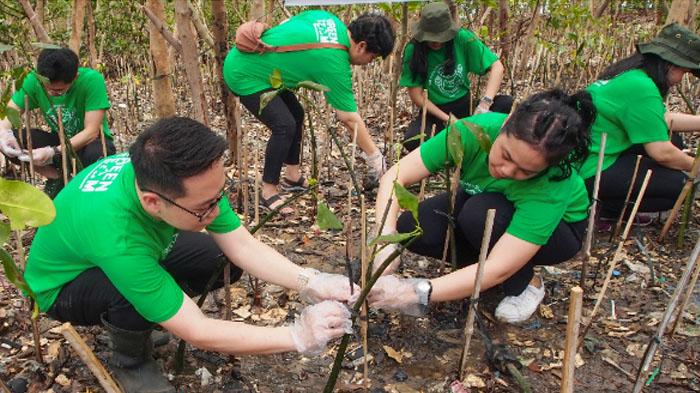 Aksi-menanam-1000-bibit-mangrove-yang-digelar-PT-Salam-Pacific-Indonesia-Lines-SPIL.jpg