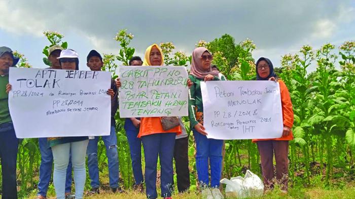 Aksi-petani-tembakau-di-Jember-menolak-PP-Nomor-282024.jpg