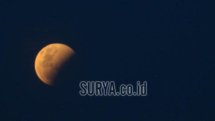 Tribun