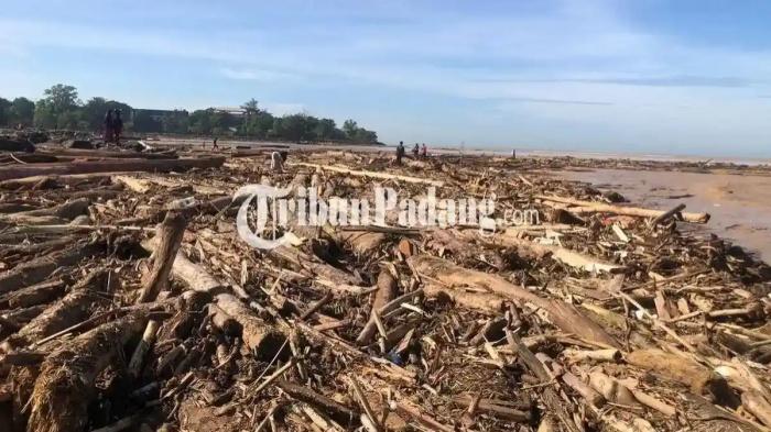 Asal Usul Kayu Gelondongan dalam Banjir Sumatera, Anggota DPR Minta Pemerintah Ambil Tindak Tegas