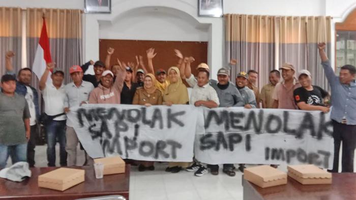 Asosiasi-Pedagang-Sapi-Lumajang.jpg