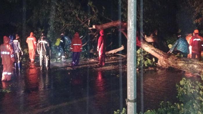 Banjir Situbondo Makin Meluas, PC Ansor Desak Pemkab Situbondo Menaikkan Status Tanggap Darurat