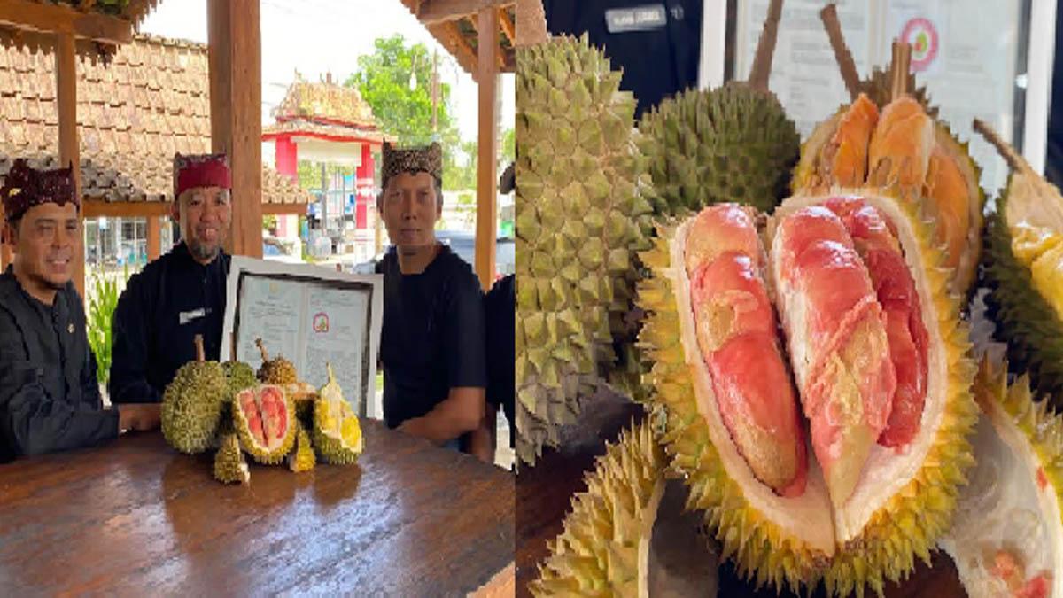 Banyuwangi-durian-merah.jpg