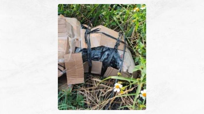 Berita-Temuan-mayat-wanita-dalam-kardus-yang-viral-di-media-sosial.jpg