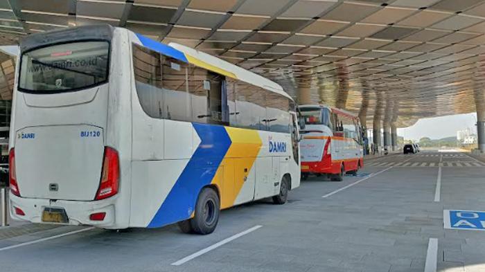 Bus-DAMRI-dan-Bus-Harapan-Jaya.jpg