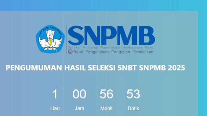 Cara Cek pengumuman UTBK-SNBT 2025 untuk ITS dan Unair, Via pengumuman-snbt.snpmb.id dan Link Mirror