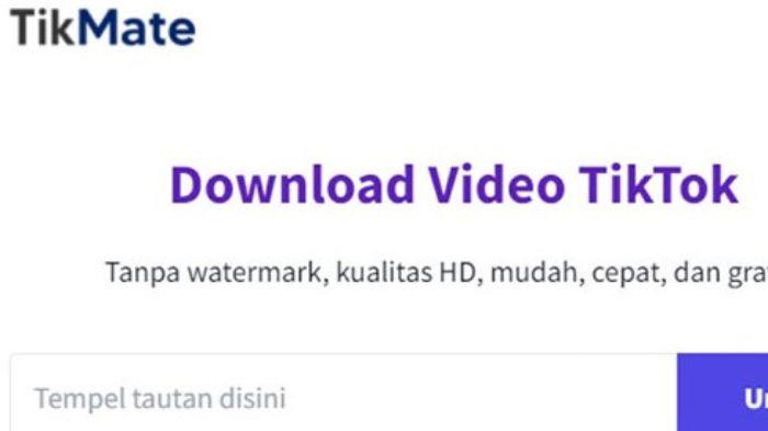 Cara-download-video-TikTok-tanpa-watermark.jpg