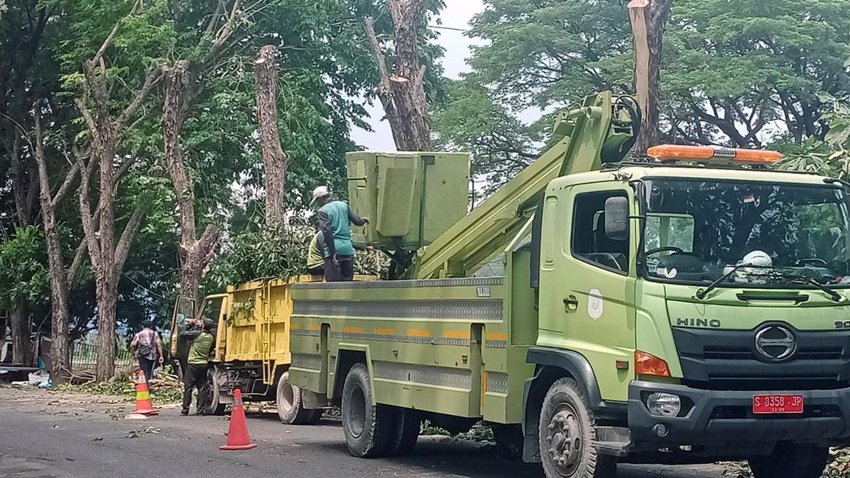 Cuaca Ekstrem Intai Lamongan, Petugas DLH Sisir Pohon Rawan Patah di Sejumlah Ruas Jalan