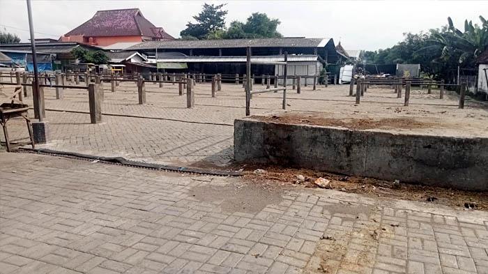 Kasus PMK di Jombang Semakin Mengkhawatirkan, Seluruh Pasar Hewan Ditutup