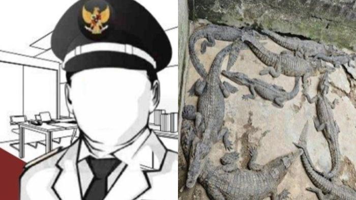 Fakta-mantan-kepala-desa-di-OKI-ditangkap-gara-gara-penangkaran-buaya-ilegal.jpg