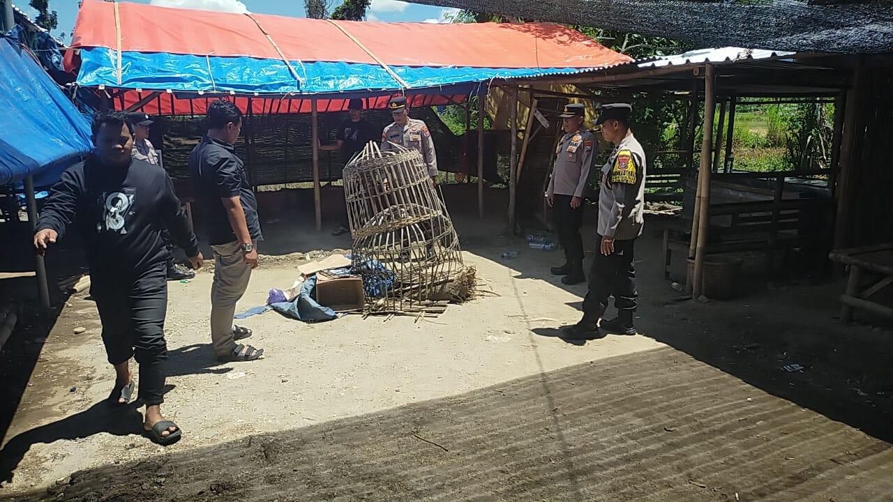 Grebek-Arena-Judi-Sabung-Ayam-di-Ponorogo-Polisi-Hanya-Temukan-Barang-Bukti.jpg
