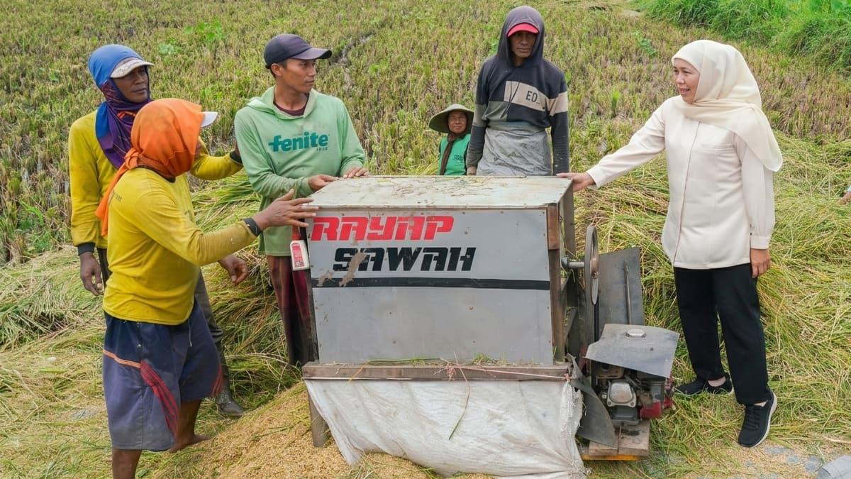 Gubernur-Jawa-Timur-Khofifah-Indar-Parawansa-saat-berbincang-dengan-para-petani.jpg