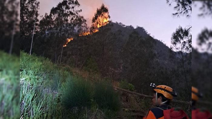 Tim Gabungan yang Padamkan Api di Gunung Panderman Terkendala Medan Terjal