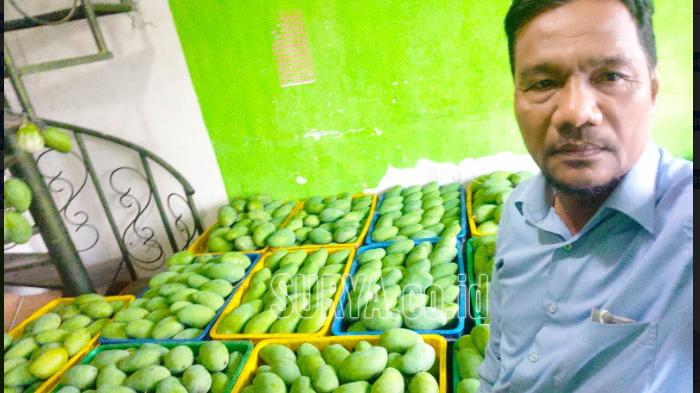 H-Abd-Rokhim-suplier-mangga-alpukat-se-Indonesia.jpg