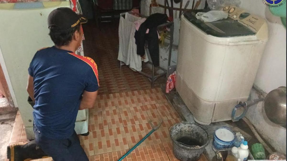 Warga Pare Kediri Panik Lihat Biawak di Dalam Rumah, Panggil Damkar