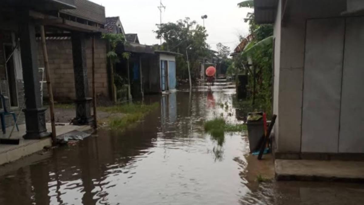 Ratusan Rumah dan Lahan Pertanian di Kesamben Jombang Terendam Luapan Afvoer Watudakon