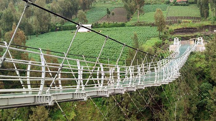 Pemkab Probolinggo Pastikan Jembatan Kaca Seruni Point Kawasan Bromo Aman Bagi Wisatawan