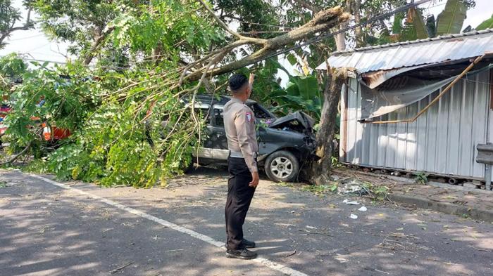 Diduga Tak Kuasai Medan Jalan, Daihatsu Taruna Seruduk Pohon dan Warung di Ngawi