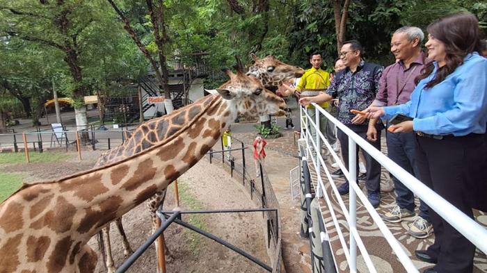 Saling Kolaborasi untuk Rebranding dan Revitalisasi, UC Surabaya Targetkan KBS Jadi Modern Zoo