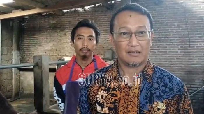 Disnakkan Bondowoso Bentuk Dua Tim Tanggulangi PMK : Ada 80 Dokter Hewan dan Paramedis