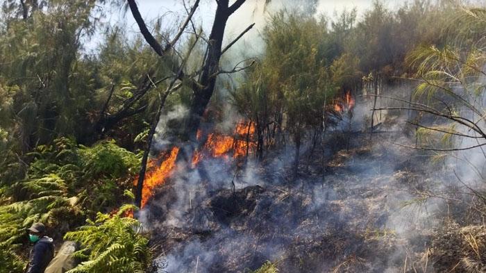 Kebakaran-di-Gunung-Arjuno.jpg