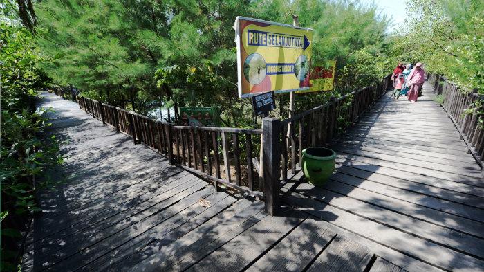 Beri Catatan Serius soal Kebun Raya Mangrove, Ketua Komisi A DPRD Surabaya Cak Yebe: Belum Optimal