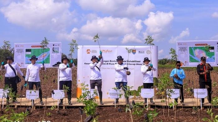 Kegiatan-tanam-mangrove-yang-digelar-LPS.jpg