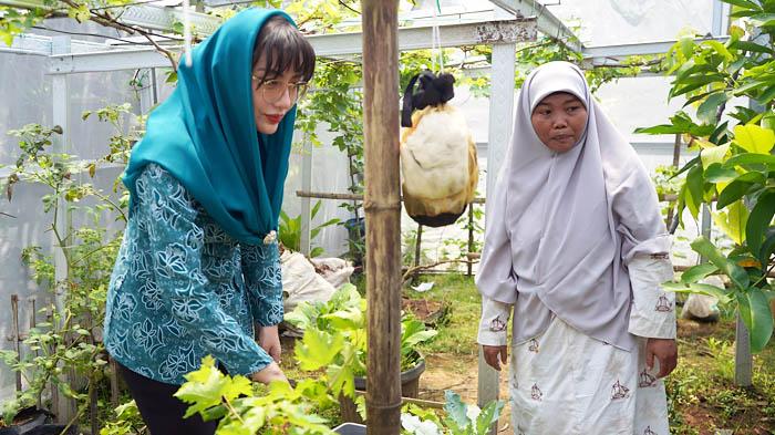 Ketua TP PKK Trenggalek Novita Hardini Bagikan Bibit Sayur dan Buah, Wujudkan Kemandirian Pangan