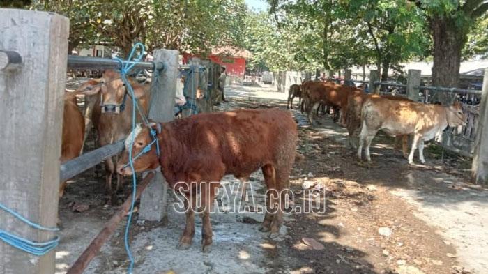 Kondisi-Pasar-Sapi-Dimoro-Kota-Blitar-beberapa-waktu-lalu.jpg