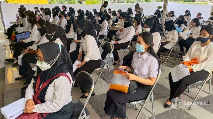 Update Link Daftar CPNS 2023 dan Kontak Pengaduan jika Peserta Mengalami Kesulitan saat Mendaftar