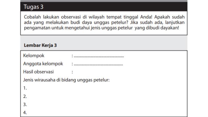 Kunci Jawaban PKWU Kelas 12 Halaman 91: Tugas 3 Observasi Budi Daya Unggas Petelur
