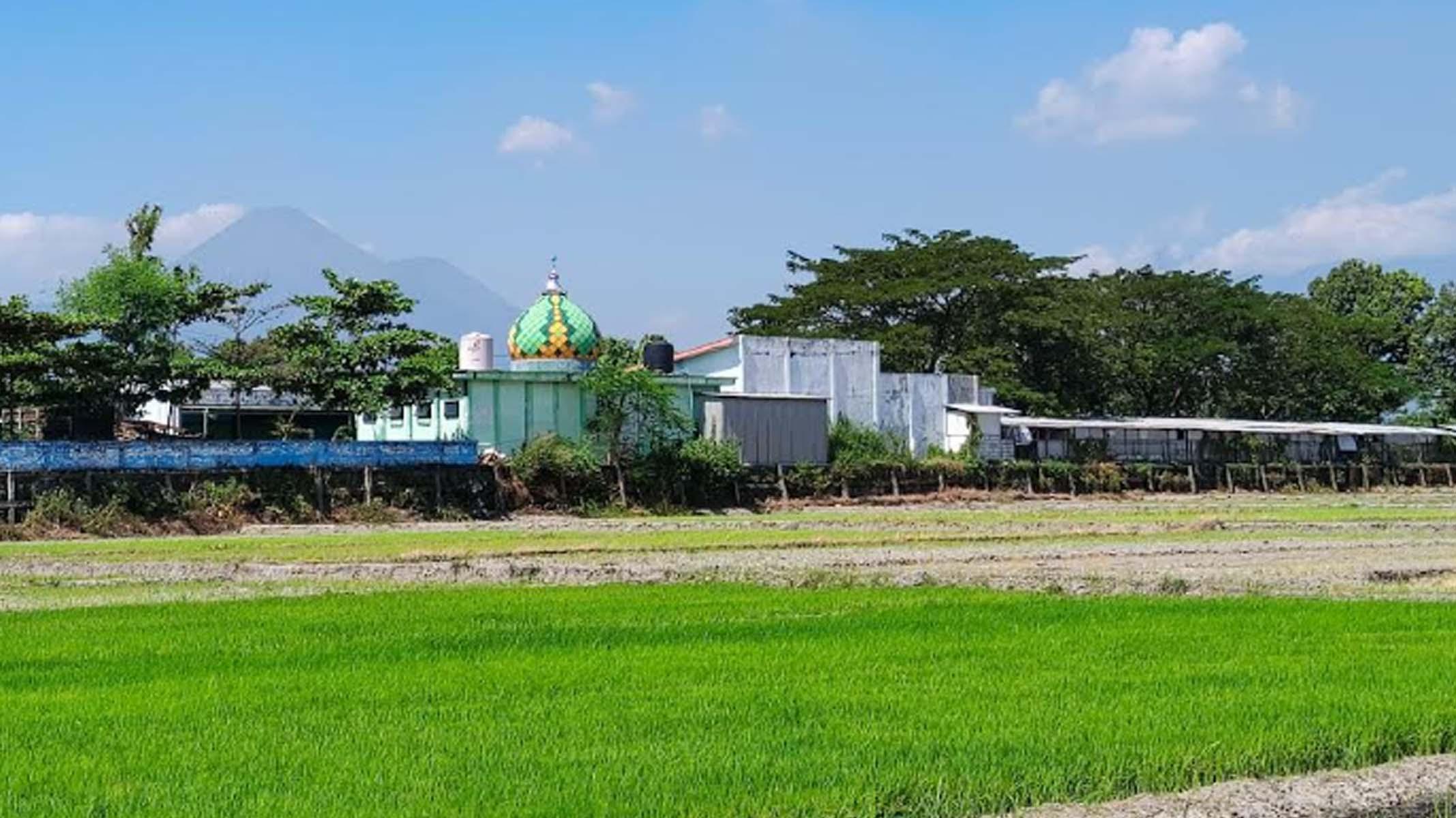 LAHAN-KABUPATEN-MOJOKERTO-PROYEK-PEMINDAHAN.jpg