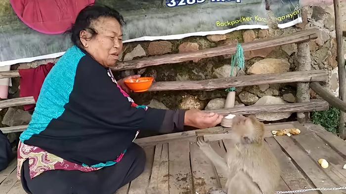 Mbok-Yem-saat-memberi-makan-Temon.jpg