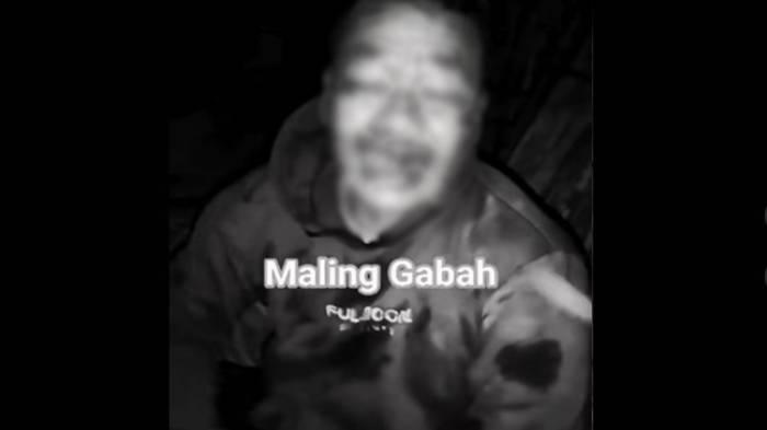 Nasib-Apes-2-Pencuri-di-Blitar-Kepergok-Warga-Sedang-Beraksi-Beredar-Video-Pelaku-Babak-Belur.jpg